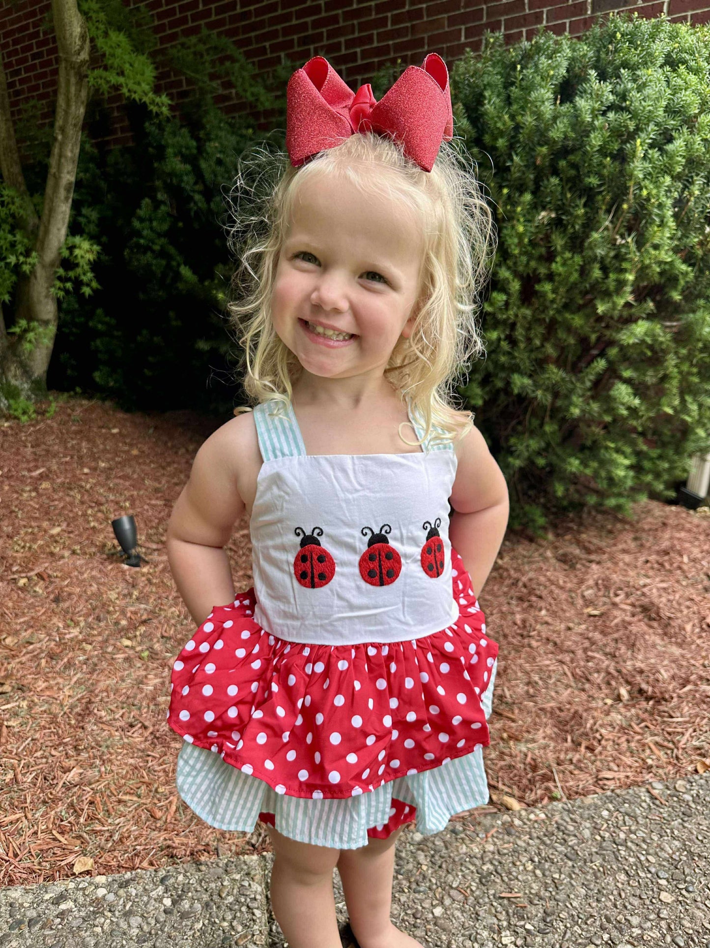 RTS - Lady Bug Diaper Set