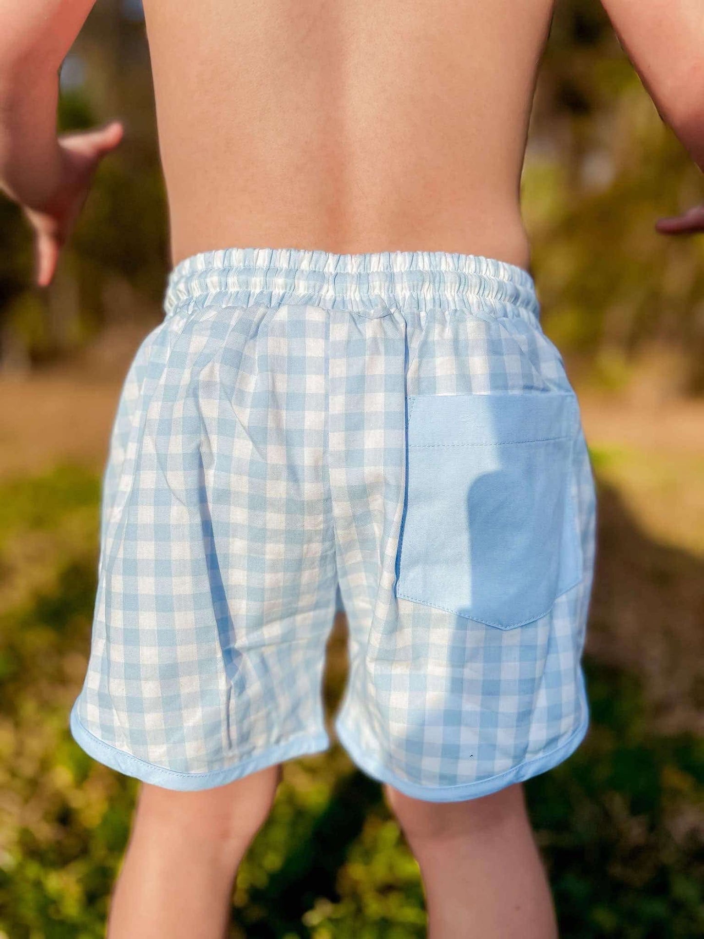 RTS - Blue Check Swim Trunks