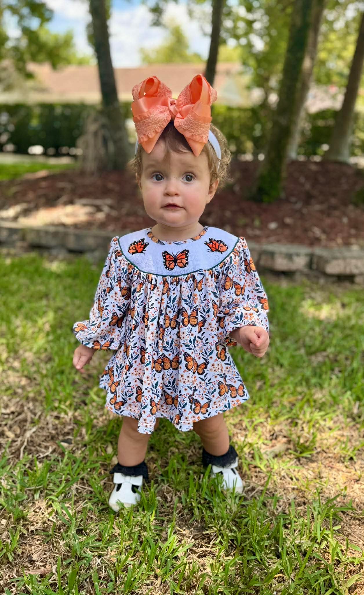 RTS - Butterfly Smock Diaper Set