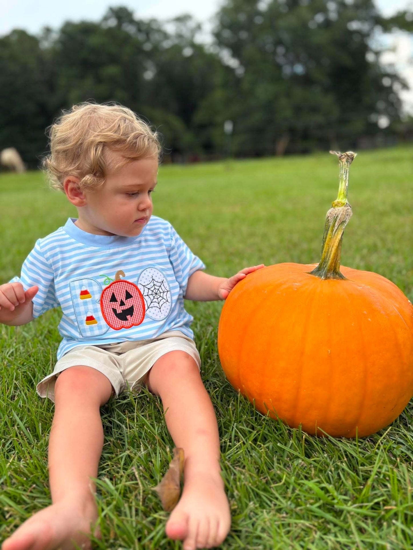 RTS - Boy Boo Tee