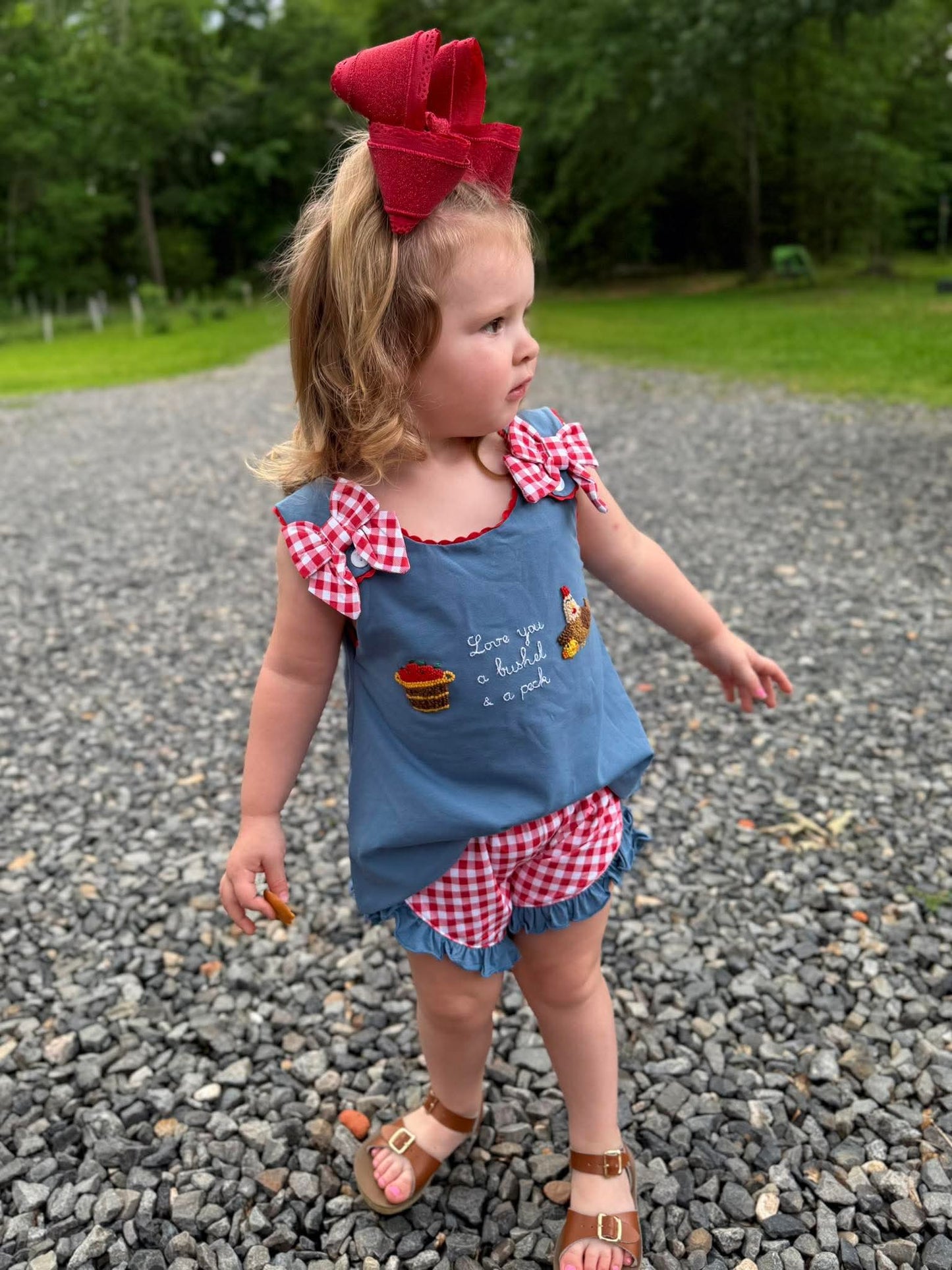 RTS - Girl Bushel Short Set