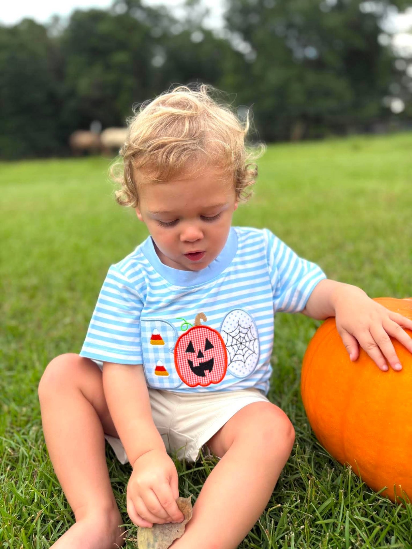 RTS - Boy Boo Tee