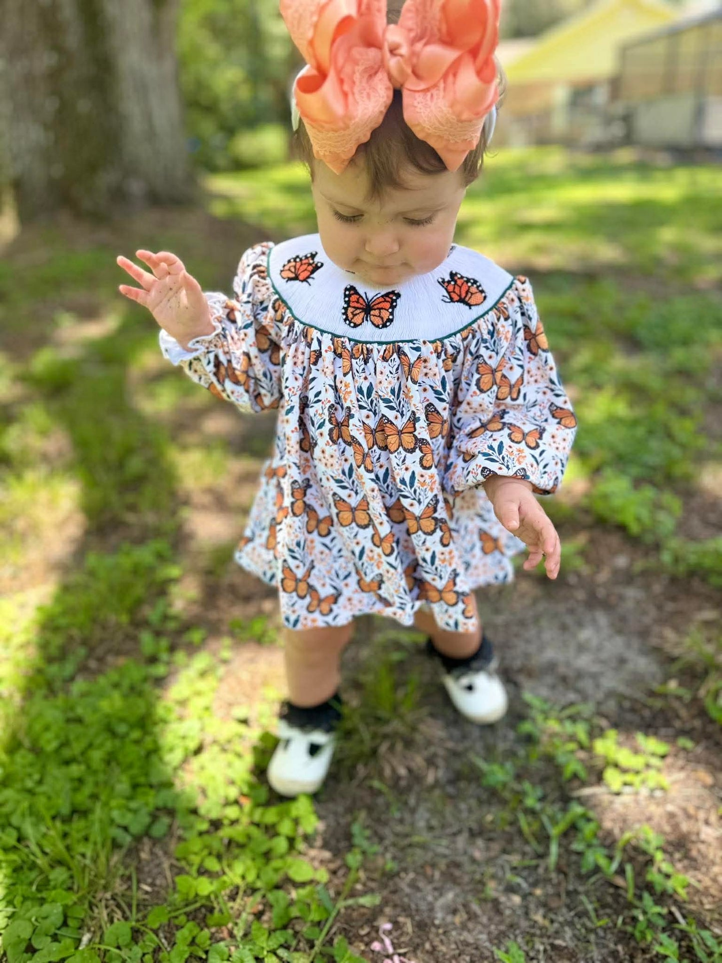 RTS - Butterfly Smock Diaper Set