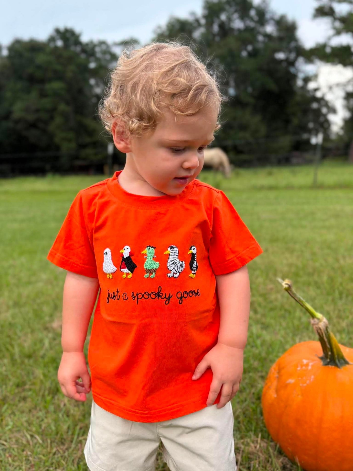 RTS - Spooky Goose Tee
