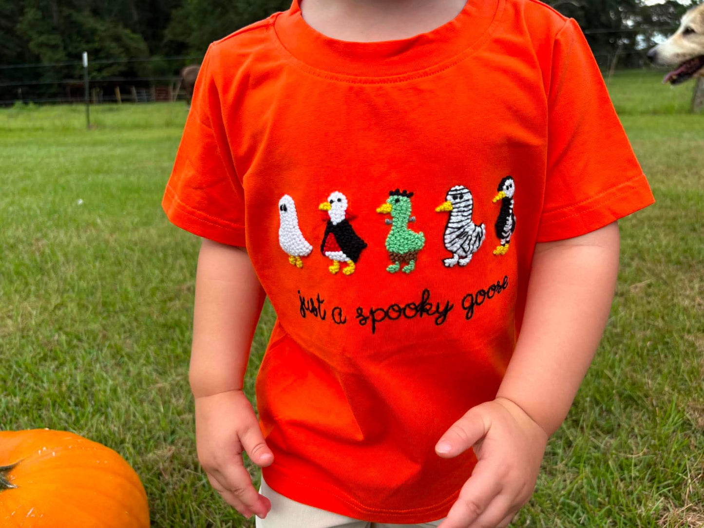 RTS - Spooky Goose Tee