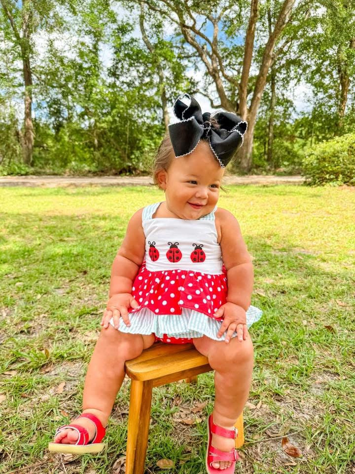 RTS - Lady Bug Diaper Set