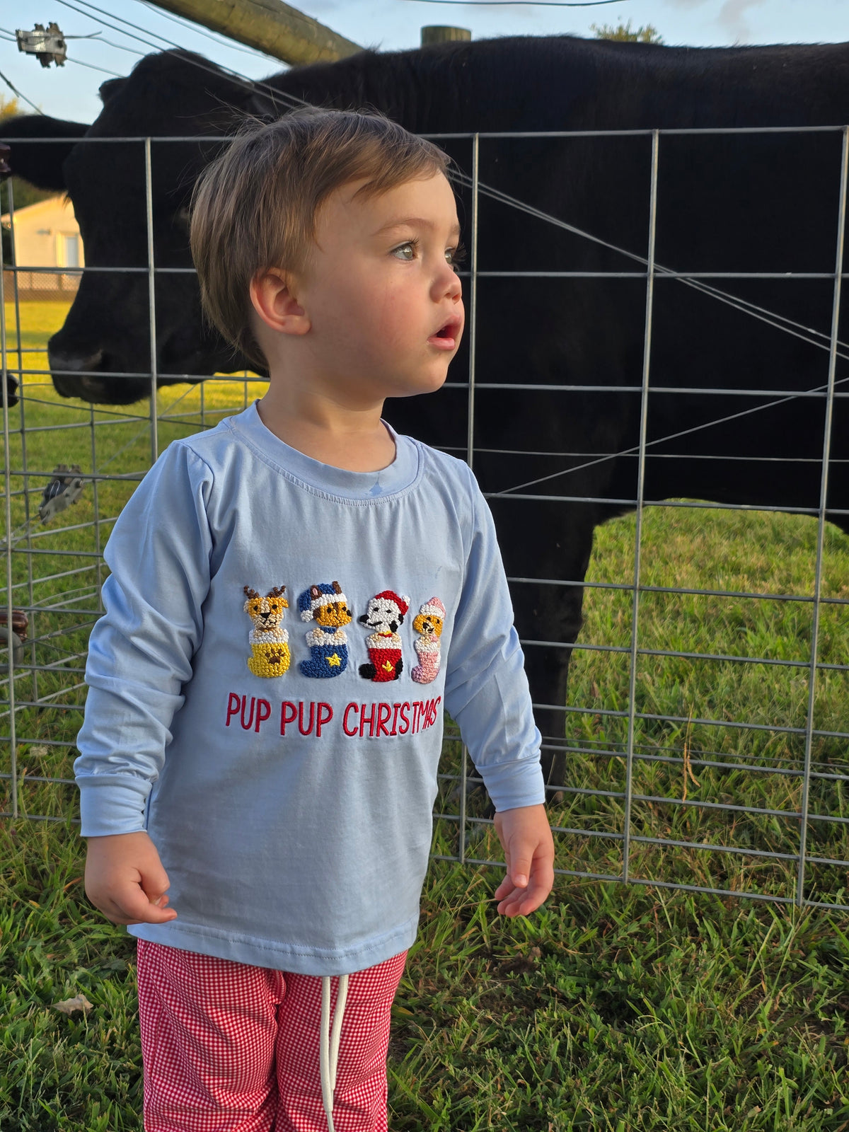RTS - Boy Pup Tee