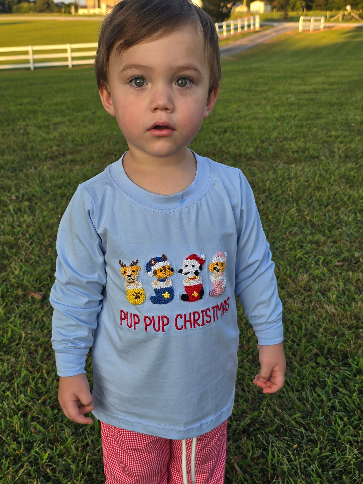 RTS - Boy Pup Tee