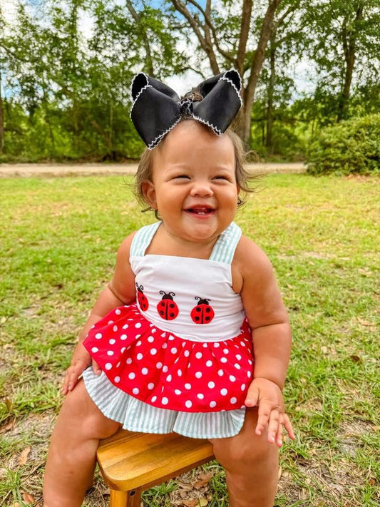 RTS - Lady Bug Diaper Set