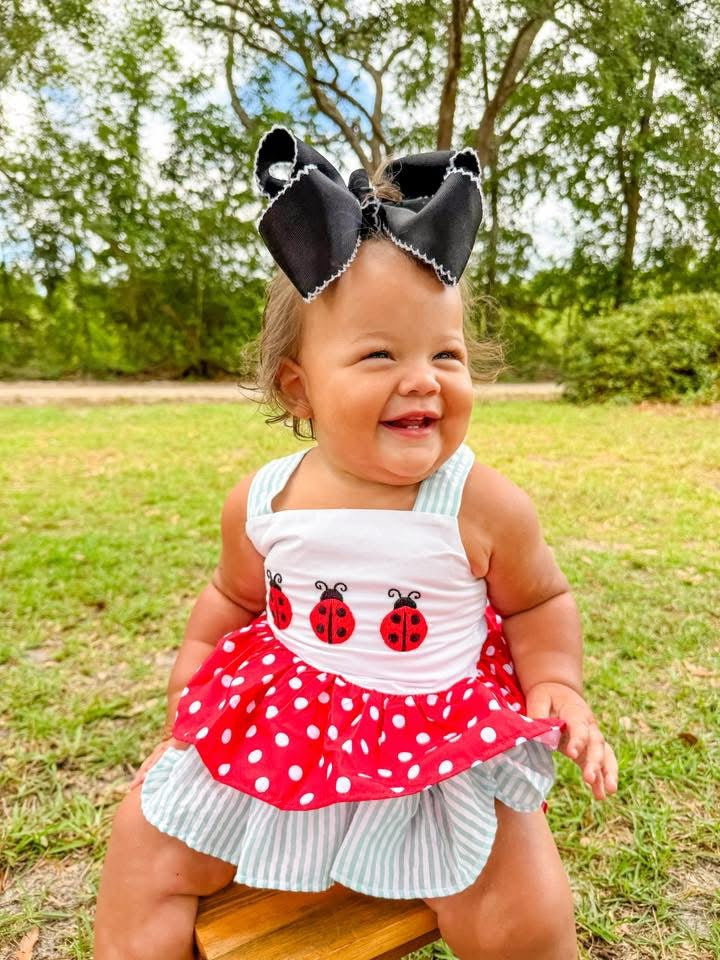 RTS - Lady Bug Diaper Set