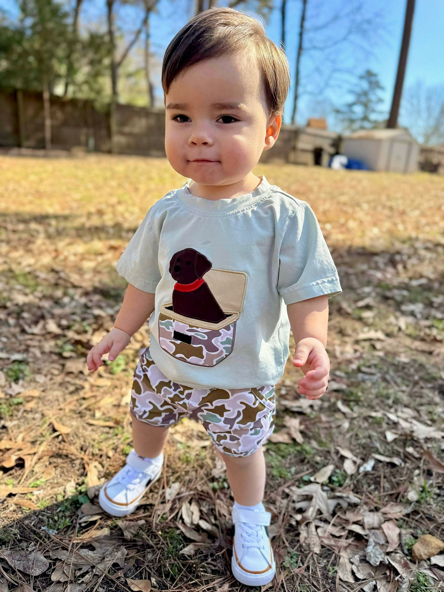 RTS - Dog In Chest Tee