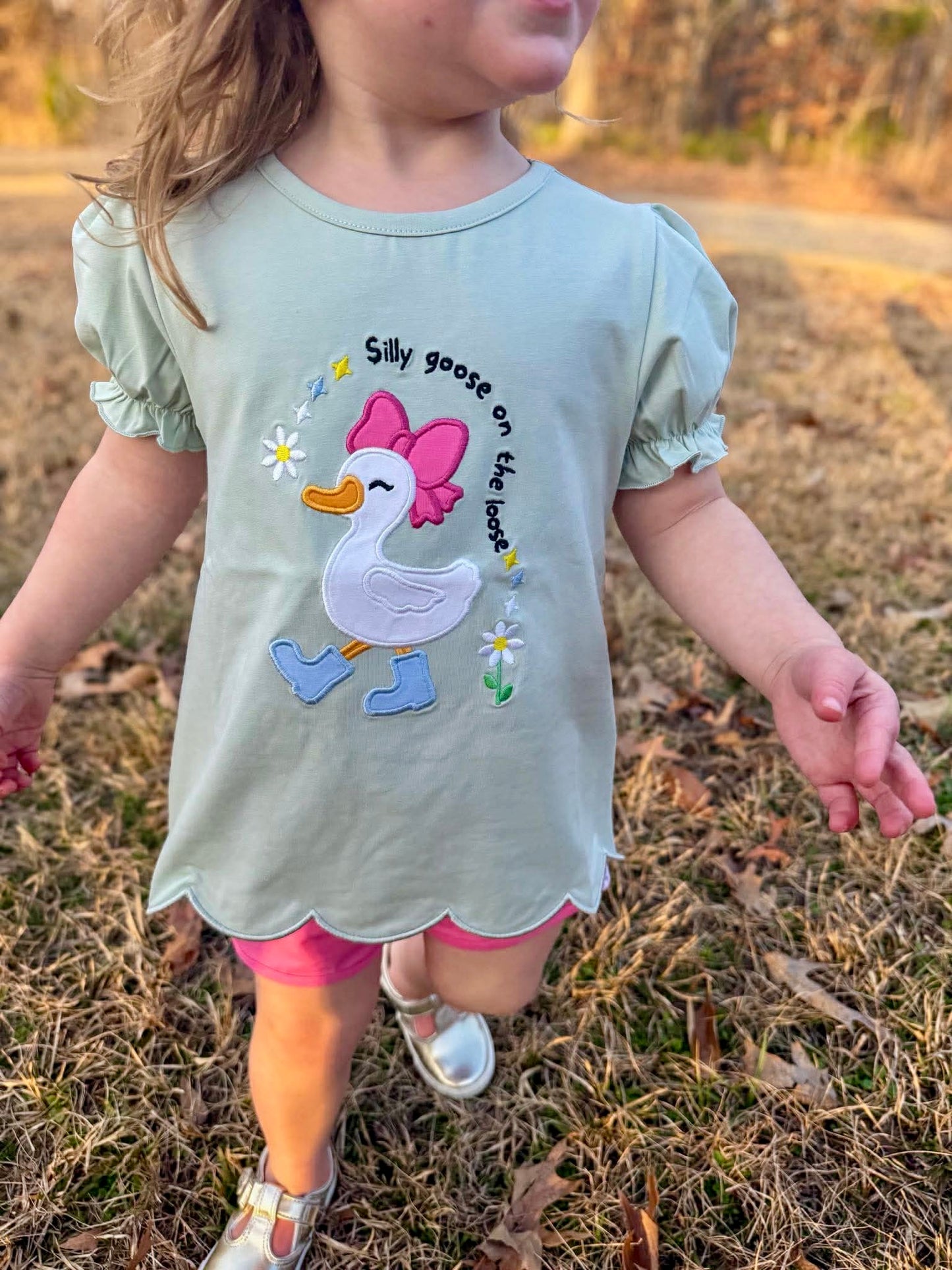 RTS - Girl Silly Goose Tee