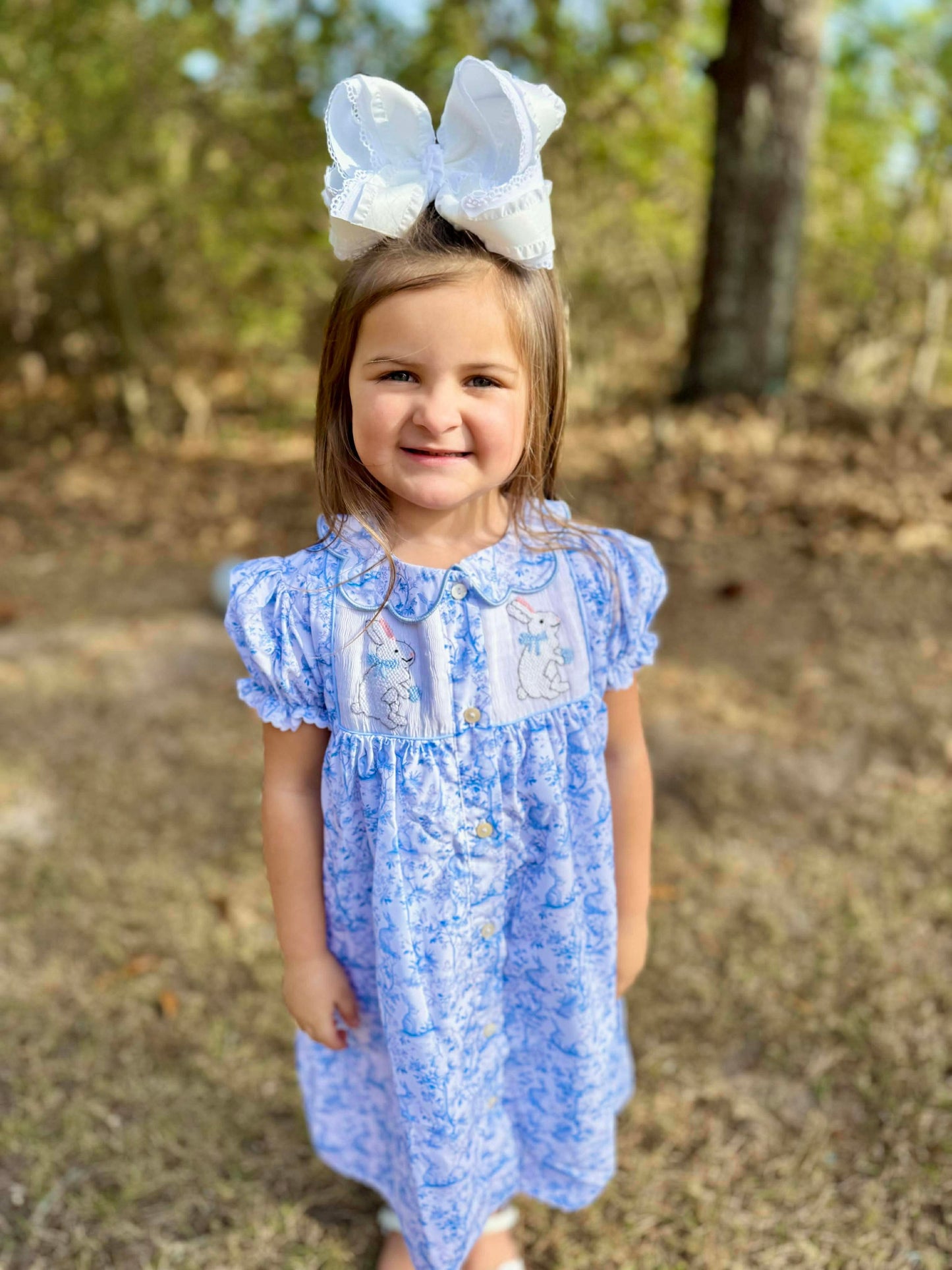 RTS - Blue Bunny Toile Dress