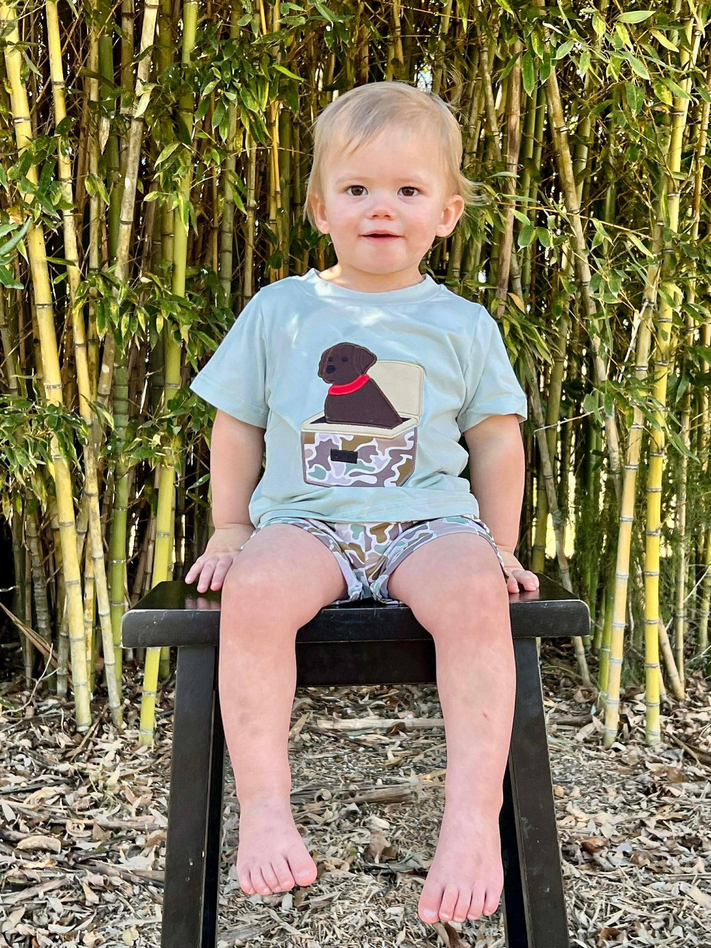 RTS - Dog In Chest Tee